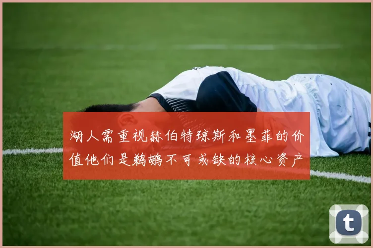湖人需重视赫伯特琼斯和墨菲的价值他们是鹈鹕不可或缺的核心资产