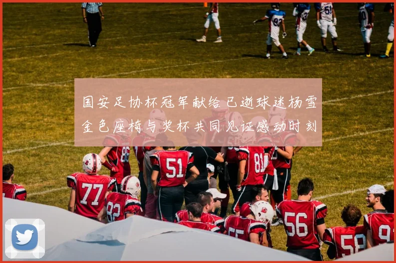 国安足协杯冠军献给已逝球迷杨雪金色座椅与奖杯共同见证感动时刻